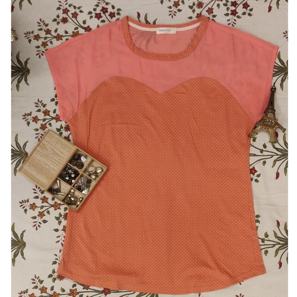 Blue Corner Tops - 🤍 Cute polka dot top-new